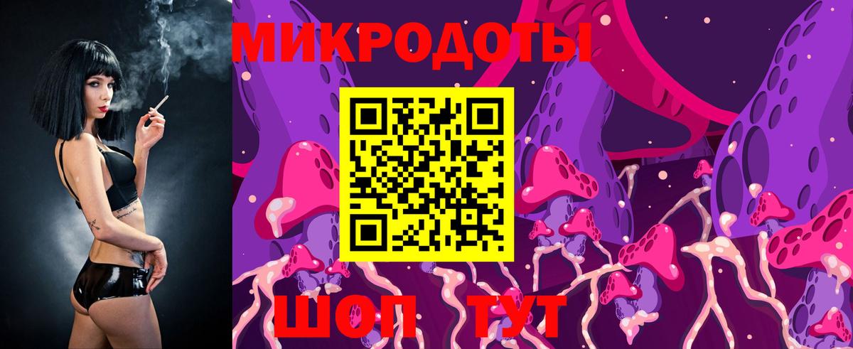 Псилоцибиновые грибы Psilocybe  Вход с VPN  Сланцы 