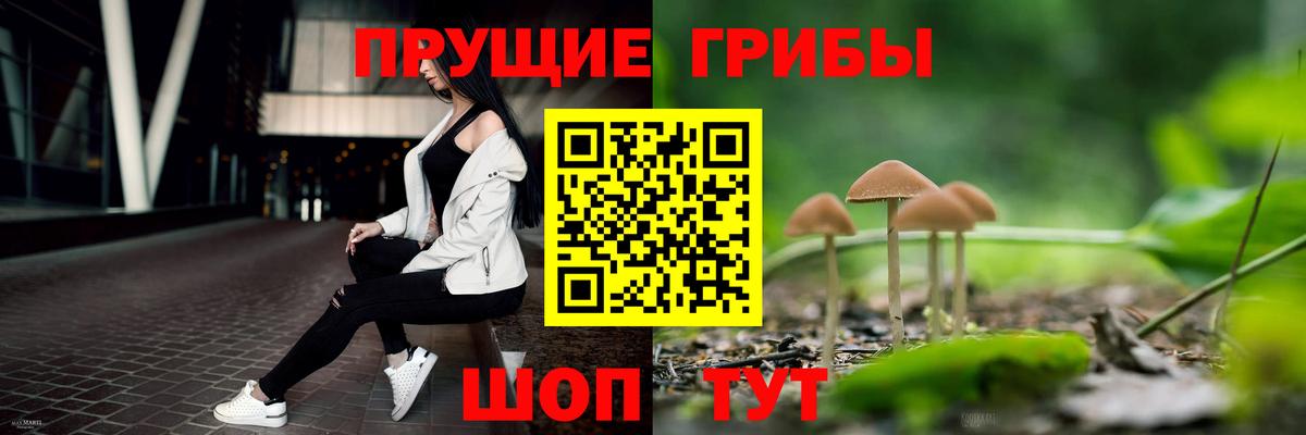 Галлюциногенные грибы Cubensis Сланцы